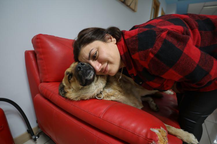 <p>İlk zamanlar kedi ve köpeklerden biraz korktuğunu anlatan Kula, "Artık onları çok seviyorum. İlla ki sizden sevgi istiyorlar. Başını veya sırtını okşadığınızda kendilerini belli ediyor. Kedi ve köpekler burada bizim mesai arkadaşlarımız. Bizim evlatlarımız gibi. Evimde 2 kedi var. İmkanım olsa köpek de alırım.</p>