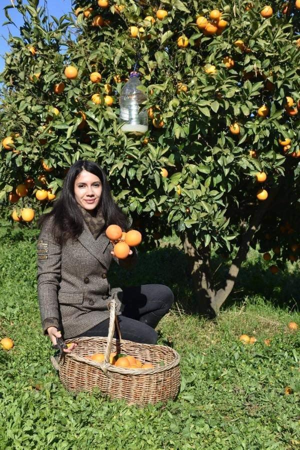 <p> Üretimde ilaç yerine ısırgan otu ve kil kullanan Ulus, 'İlaçsız tarım olmaz, malınız mahvolacak' diyenlere rağmen doğadan faydalanıp, verimli ürün yetiştirdiklerini söyledi.</p>
