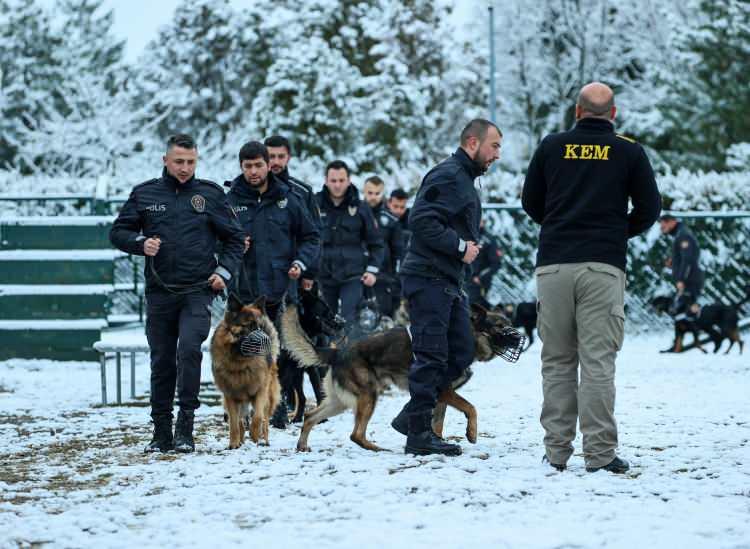 <p> Testi geçen köpekler, bir sonraki aşama için amacına uygun olarak eğitilmeye devam eder." dedi.</p>