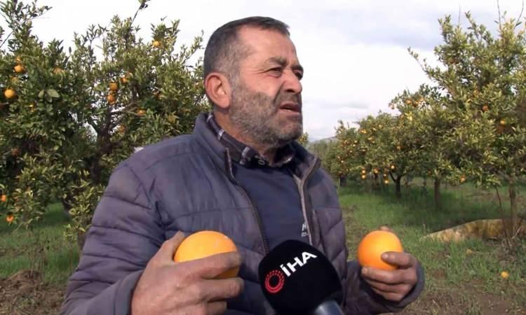 <p>Bizim burada hale 1 lira 60 kuruştan sattığımız portakal İstanbul'a vardığı zaman 5, 6 ya da 7 liraya satılıyor. Aracılar ne kadar çoğalır hepsi de kârını üzerine koyarsa tüketiciye gidene kadar vatandaşın yiyemeyeceği seviyelere çıkıyor. Mesela bizim burada 1,5-2 lira arasında satılırken, İstanbul ve İzmir'deki vatandaşlar neredeyse tane hesabı yapıyor. Bugünün şartında girdi fiyatlarımıza bakarsak fiyattan memnun değiliz. Ama beterin beteri var. Bu malı hiç satmayıp çöpe dökmüş de olabilirdik. Onun için memnunuz. Ama çiftçi her zaman gönlü geniştir, üretici elinden geldiğince daha çok ve daha kaliteli üretmek için çaba harcar. Şartlar elvermediği zaman da çiftçinin de yapabileceği bir şey kalmıyor."</p>