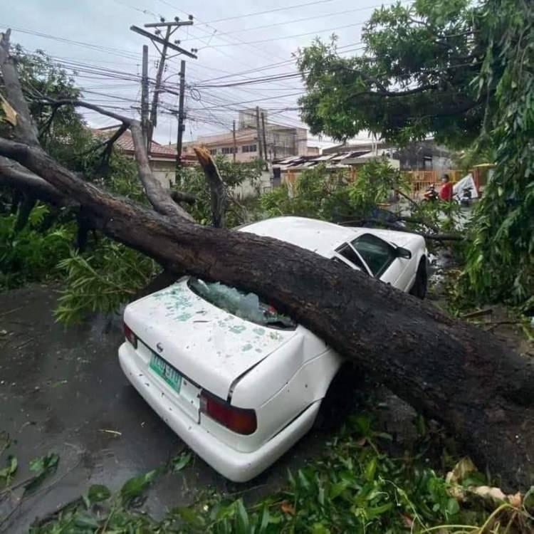 <p>BBC'nin haberine göre, hızı saatte 195 kilometreyi bulan tayfun, birçok bölgede elektrik kesintisi ve ciddi yıkıma sebep oldu.</p>

<p> </p>
