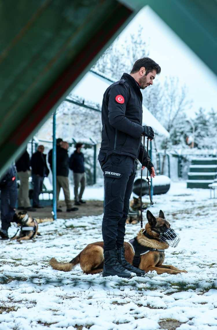 <p>Köpek Eğitim Merkezinde, bir köpeğin anne sütünden kesildikten sonra eğitimi başlar. 3, 6, 9 ile 12. aylarda yeterlik testine tabi tutulurlar.</p>
