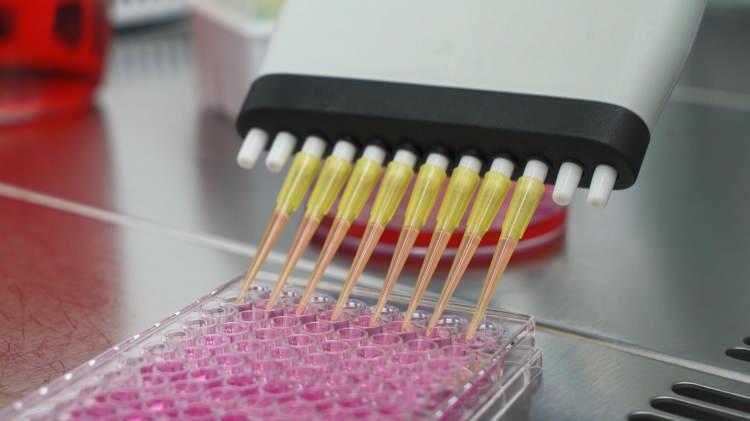 <p>Şanlıurfa Organize Sanayi Bölgesi'ndeki 36 bin metrekarelik laboratuvarda hummalı çalışma sürüyor. Koronavirüse karşı Türk bilim insanları tarafından geliştirilen Turkovac aşısı, yüzde 100 yerli imkanlarla üretildi.</p>
