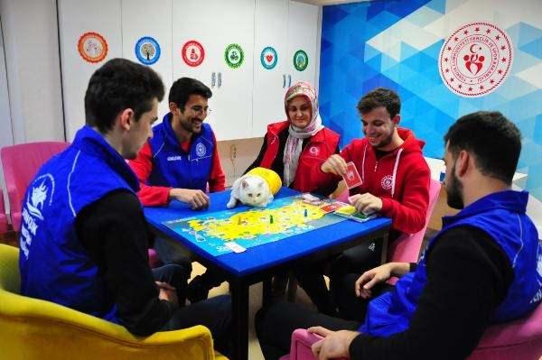 <p>Manisa Gençlik ve Spor İl Müdürlüğü’ne bağlı 75. Yıl Gençlik Merkezi’nin gönüllü gençleri, bir ay önce merkeze gelirken yağmurda ıslanan ve donmak üzere olan kediyi fark etti.</p>

