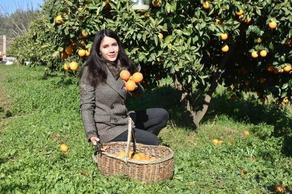 <p>Seferihisar ilçesinde yaşayan dijital pazarlama stratejisti Çise Ulus, yaklaşık 2 yıl önce babaannesinin vefat etmesinin ardından yadigar kalan 7 dönümlük mandalina bahçesinde organik tarım modelini hayata geçirdi. </p>