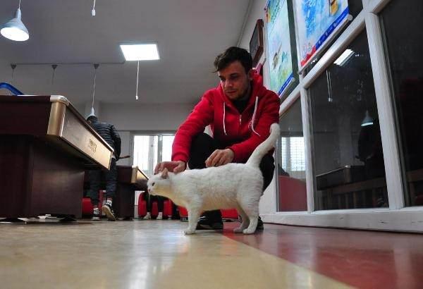 <p>Daha çok vicdanlı gençler yetiştirmek, toplum olarak hayvan sevgisini yerleştirmek üzere merkezimizde çalışıyoruz" diye konuştu.</p>
