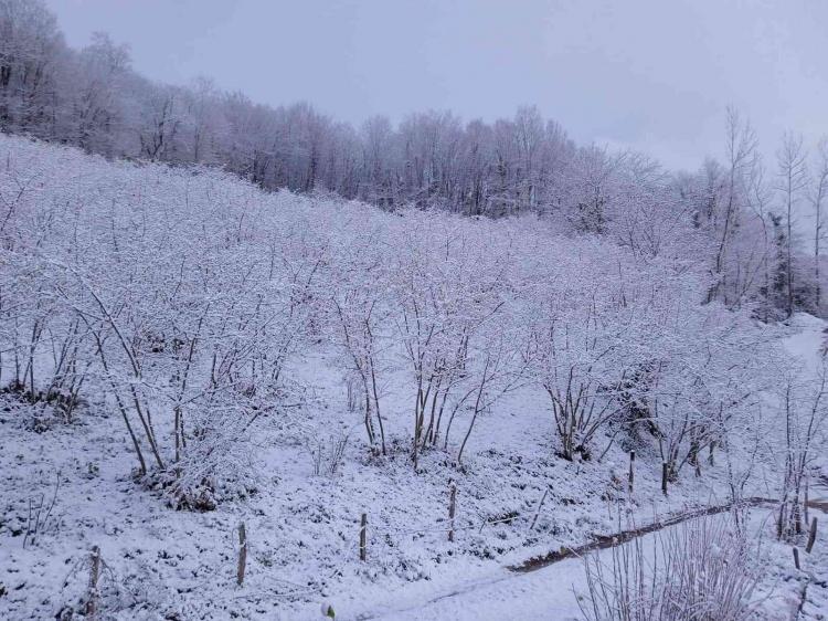 <p>&Ouml;te yandan, D-655 D&uuml;zce-Zonguldak Batı Karadeniz bağlantı yolunun Kabalak, Hiciz rampaları, Şifalısu ve Tepe k&ouml;y&uuml; mevkilerinde kar,&nbsp;Bolu&nbsp;ve D&uuml;zce kent merkezlerinde ise karla karışık yağmur etkili oluyor.&nbsp;</p>
