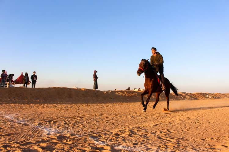 <p>&nbsp;"6 yaşımdan beri binicilik eğitimi alıyorum"</p>

<p>Arap kabilelerin en cins ve en g&ouml;z alıcı atlarıyla katıldığı 4 turdan oluşan Şarkıyye'deki yarışlar nefes kesti.</p>
