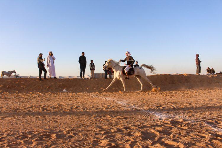 <p>Birbirinden yetenekli binicilerin yer aldığı bu yılki yarışlarda, 12 yaşındaki Gazi Ebu Meşhur'un jokeyliğini yaptığı at birinci geldi.</p>
