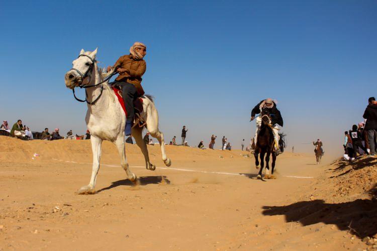 <p>&nbsp;Mısır'da 14. ve 15. y&uuml;zyıllarda her hafta cuma namazından sonra biniciler tarafından atlarıyla &ccedil;eşitli g&ouml;steriler d&uuml;zenlenirdi." dedi.</p>
