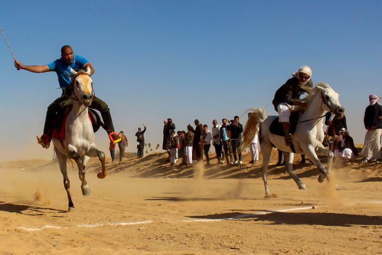 <p>&Uuml;lkede daha fazla at &ccedil;iftliği kurulmasını arzu ettiğini s&ouml;yleyen Rustum, bu sporun teşvik edilmesi i&ccedil;in elinden geleni yapmaya hazır olduğunu ifade etti.</p>

