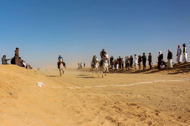 <p>"Bu işe ilk olarak sadece 10 atla başladık"</p>

<p>Her yıl Mısır'ın farklı kentlerinde d&uuml;zenlenen at yarışlarına, zaman zaman K&ouml;rfez &uuml;lkelerindeki kabilelerden de katılım oluyor. At yarışları tamamen b&ouml;lgedeki kabilelerin sponsorluğunda ger&ccedil;ekleştiriliyor.</p>
