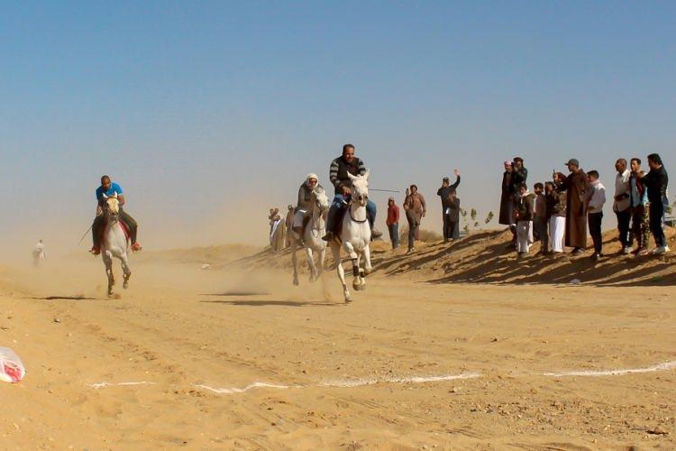 <p>Bu yılki at yarışını organize eden Ahmed el-Mutayri, "Bu işe ilk olarak sadece 10 atla başladık.&nbsp;</p>
