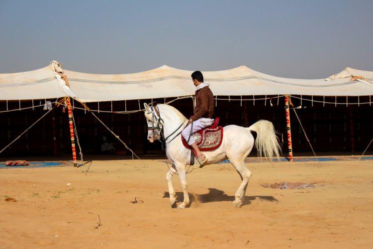 <p>&Ccedil;&ouml;lde pusula olmaksızın y&ouml;n bulma noktasındaki maharetleriyle &uuml;nl&uuml; olan bedeviler, at yetiştiriciliği ve biniciliğine b&uuml;y&uuml;k &ouml;nem veriyor.</p>
