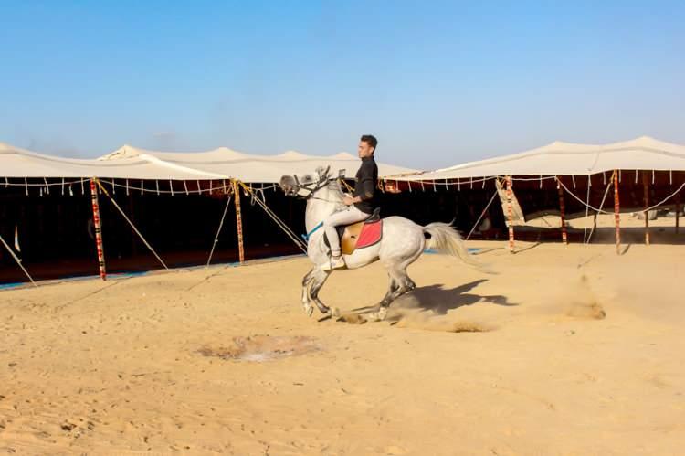 <p>At yarışını izlemeye gelen konukların ağırlanması i&ccedil;in &ccedil;&ouml;lde &ccedil;adırlar kuruluyor. Gelen misafirlere genellikle bedevi &ccedil;ayı ve nargile ikram ediliyor. Bedeviler ayrıca, konuklara tepside pilav &uuml;st&uuml; et ve lavaş ekmek ikram ediyor.</p>
