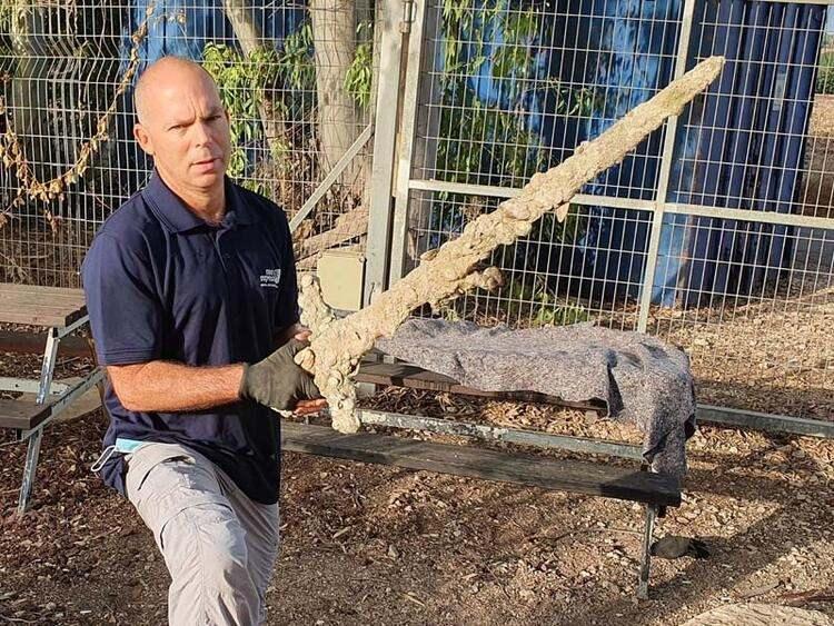<p>IAA'nın Deniz Arkeolojisi Birimi'ne başkanlık eden Kobi Sharvit, kılıcın bulunduğu Carmel sahilinin, kıyı boyunca yüzyıllar boyunca süren denizcilik faaliyeti süresince fırtınalar sırasında gemilere barınak sağladığını söyledi. Sharvit, "Bu koşullar, çağlar boyunca ticaret gemilerini cezbetti ve geride zengin arkeolojik buluntular bıraktı" dedi.</p>