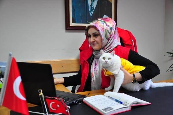 <p> Bakanlığımızın da Türkiye geneli uygulanan 'Gönüllü Pati' projesi kapsamında kedinin bakımını, aşılarını ve mama masraflarını karşılayarak gençlik merkezimizde ağırlamaya başladık. Kedi, gençlik merkezimizin maskotu oldu. Gençler, aktivitelere katıldığı zaman onların yanından ayrılmıyor, birlikte etkinliklere katılıyor. </p>