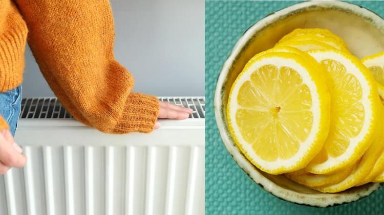 <p><strong>Soğuk havalarda evin ısınması için yakılan kalorifer peteklerinin üzerine limon, portakal veya mandalina kabuğu koyabilirsiniz. </strong></p>
