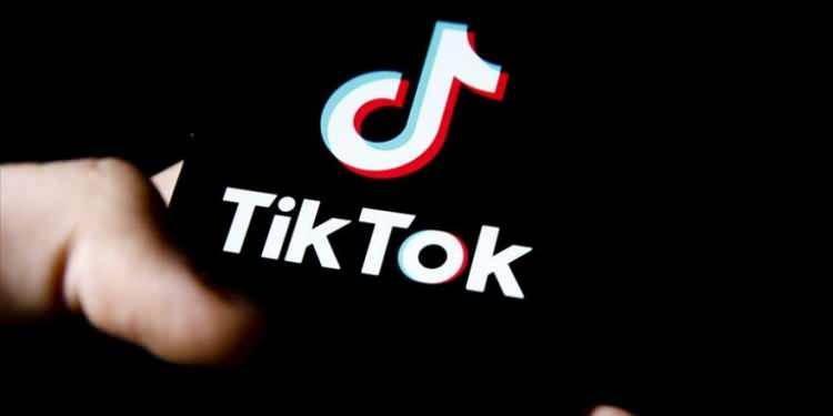 <p>1-TikTok</p>
