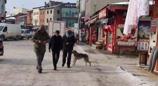 <p>Kerim Çadırcı ise Göle'de yaşanan soğuk havanın açıklanandan daha fazla olduğunu söyledi. Göle Belediyesi'nde temizlik işçisi olarak görev yapan Ensar Kerdige, çöplerin bile buz tuttuğunu belirtti.</p>
