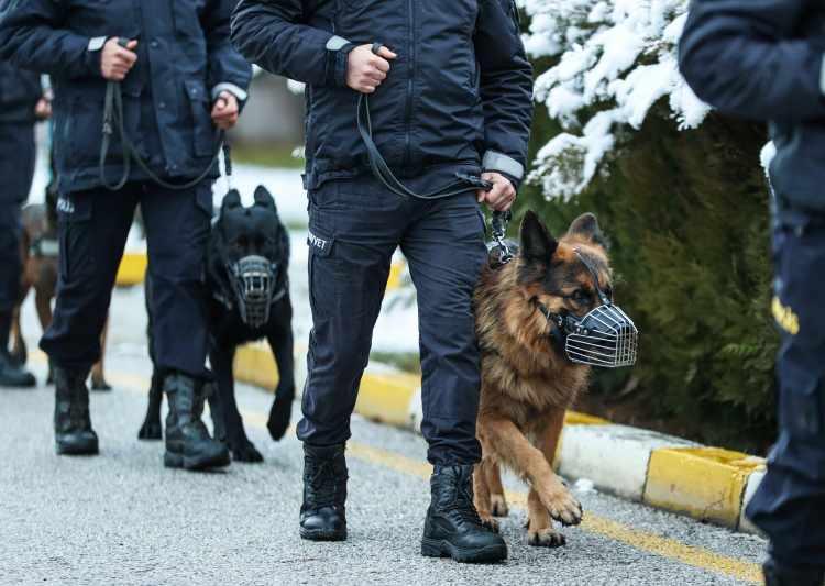 <p>Polis görev köpekleri için sağlıklı, arama-bulma ve oyun oynama güdüsü gelişmiş, uyumlu ve sosyal olanların tercih edildiğini ifade eden Özkan, köpeklerin huyunun dengeli, karakterinin sağlam olması gerektiğini bildirdi.</p>