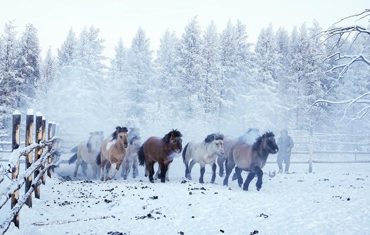 <p>Rusya'nın Saha Cumhuriyeti'ne bağlı Oymyakon kentinde hava sıcaklığı eksi 60 dereceye kadar düştü.</p>
<p> </p>