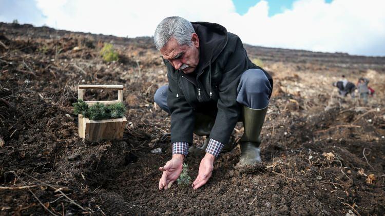 <p>Bayram Dayı, doğayı, ormanı, yeşili sevdiği için fidan dikmeye devam ettiğini söyledi.</p>