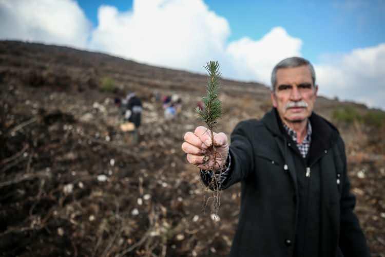 <p>Dünyaya bir daha gelse yine ormancı olmayı seçeceğini belirten Dayı, "Ormanlara küçük fidan dikiyoruz. Onlar ağaç oluyor, ağaçlar orman oluyor, ormanlarda geleceğe nefes oluyor. Fıstık çamı fidanı dikiyoruz, köy halkına gelir de oluyor. Aynı zamanda ekonomik katkı da oluyor." dedi.</p>