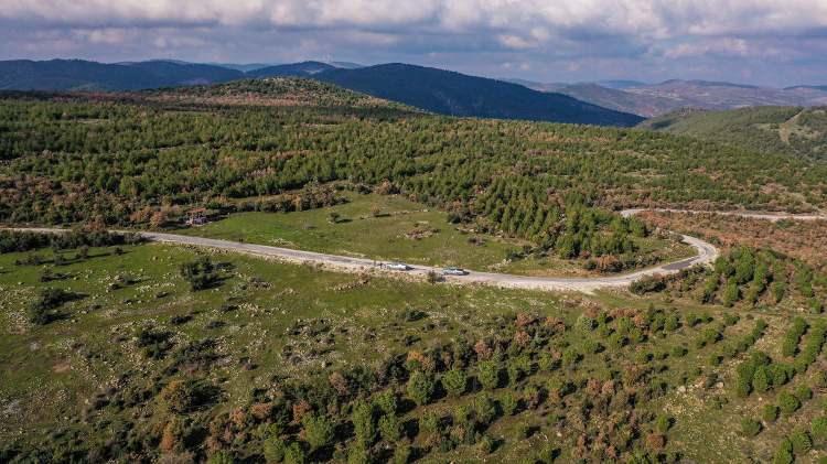 <p>Buralardan geçerken yanımdakilere ağaçları diktiğimi anlatıyorum. Ne şartlarda çalıştığımızdan bahsediyorum. Ağaçların büyüdüğünü görmek beni sevindiriyor. Sağlığım sıhhatim iyi olursa ömrüm yettiği müddetçe de fidan dikmeye, devletime milletime yardımcı olmaya devam edeceğim. Bir fidan çok geç gelişiyor. Gençlerimize sesleniyorum, herkes bir fidan diksin. Ormanlarımız zarar görmesin. Bir fidan dikmek çok sevaptır."</p>