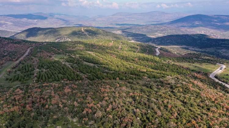 <p>Yıl sonuna kadar ilde hedeflenen miktarda fidanların dikileceğini anlatan Dündar, "Bayram Dayı, meslekte çalışırken de binlerce fidan dikmiş, şimdi de kendi oluşturduğu ekiple çalışmaya devam ediyor. Bayram Dayı gibi büyüklerimiz ormanlarımızın gizli kahramanlarıdır. Bayram Dayı'nın diktiği sahaların tutma oranı yüzde 95'in altına düşmüyor. Onu her zaman desteklemeye devam edeceğiz." diye konuştu.</p>