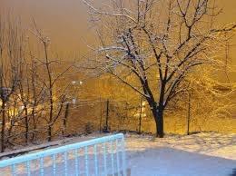 <p>BÖLGE BÖLGE HAVA DURUMU</p>

<p> </p>

<p>MARMARA</p>

<p> </p>

<p>Parçalı ve çok bulutlu, Trakya Kesimi ile İstanbul, Kocaeli, Bursa, Yalova ve Çanakkale çevreleri ile Balıkesir'in kıyı kesimlerinin yağmur ve sağanak yağışlı geçeceği tahmin ediliyor. Yağışların; Edirne ve Kırklareli çevrelerinde yerel olarak kuvvetli olması bekleniyor. Doğu kesimlerinde gece ve sabah saatlerinde yer yer pus ve sis bekleniyor.</p>
