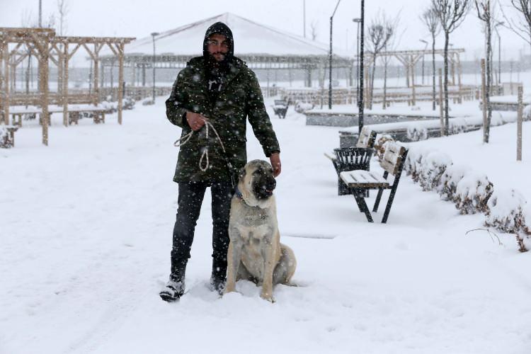 <p>Kangal Köpeği Üretim, Eğitim ve Koruma Merkezi Veteriner Hekimi Engin Genç, Kangal köpeklerinin en sevdiği mevsimin kar yağışı ve soğuk hava nedeniyle kış olduğunu söyledi.</p>
