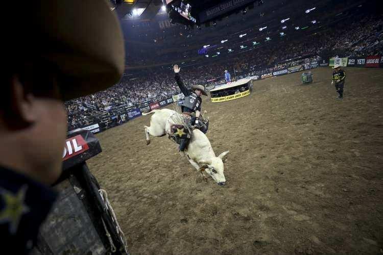 <p>ABD'nin New York kentinde "Profesyonel Rodeocular" oluşumu tarafından düzenlenen Rodeo şovu, Madison Square Garden'da başladı. Ünlü spor sahasını bir arenaya çeviren rodeocular, yüzlerce kiloluk boğaların üzerinde gösteri yaptı.</p>
<p> </p>