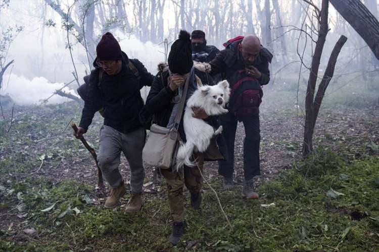 <p>Avrupa'ya geçmek için sınırda bekleyen ve Pazarkule Sınır Kapısı yanındaki ormanlık alanda toplanan sığınmacılar, Arda Nehri yakınlarından Yunanistan sınırına doğru hareket etti. Binlerce sığınmacıyı gören Yunan askeri hava ateş açtı, gaz bombaları attı. Gazdan, yanına aldığı köpeğiyle sınıra gelen bir sığınmacı da etkilendi.</p>

<p> </p>
