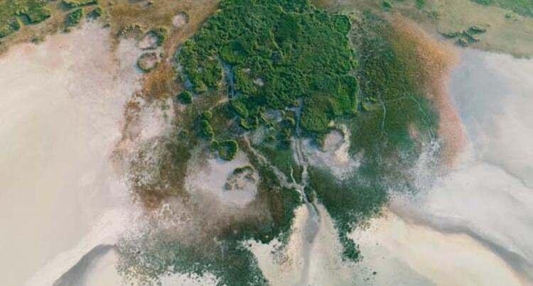 <p>Doğanın binbir t&uuml;rl&uuml; renklerini i&ccedil;inde barındıran g&ouml;l&uuml;n flamingolar eşliğinde ortaya &ccedil;ıkardığı g&ouml;r&uuml;nt&uuml;leri Burdur Valisi Ali Arslantaş, sosyal medya hesabından paylaştı.</p>

<ul>
</ul>
