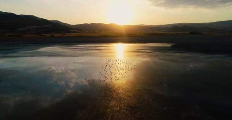 <p>Covid-19 s&uuml;recinden sonra g&ouml;&ccedil;men kuşların ziyaretini yakından temaşaya var mısınız?"&nbsp;dedi.</p>

<ul>
</ul>
