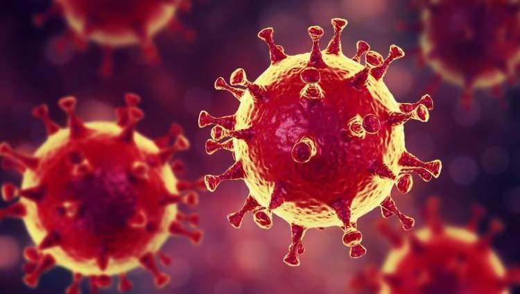 <p>Bilim Kurulu üyesi Prof. Dr. Levent Akın, yeni tip koronavirüs (Kovid-19) salgınına karşı başlayacak aşılama süreciyle ilgili olarak merak edilenleri yanıtladı.</p>
