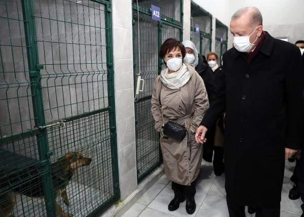 <p>Cumhurbaşkanı Recep Tayyip Erdoğan, Beykoz'da hayvan barınağını inceledi.</p>
