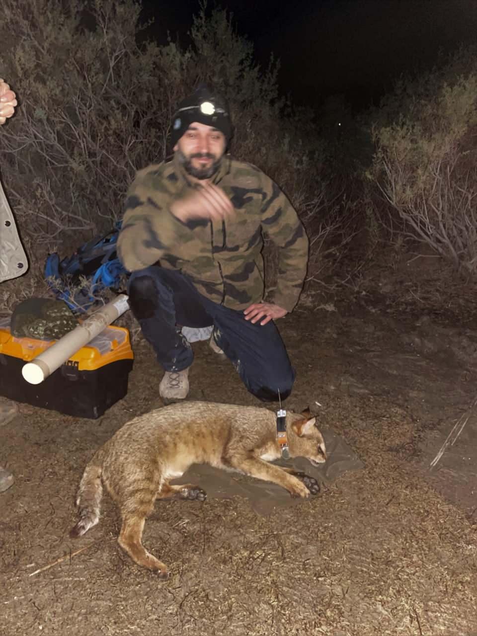 <p>Ovada da ne yazık ki düzgün bir habitat kalmadığı için tüm denemelerde ne yazık ki geri dönmek zorunda kalmış. Bunları yaparken 3-4 kez büyük otoyollardan geçmiş. </p>
