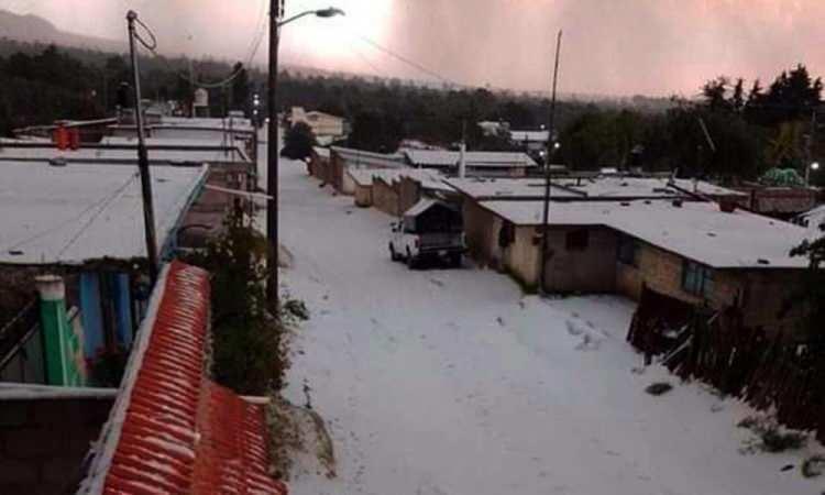 <p>Meksika'nın Tlachichuca şehrine tarihte ilk kez kar yağdı. İlk defa kar yağışına tanık olan şehir sakinleri şaşkınlıklarını gizleyemedi.</p>
