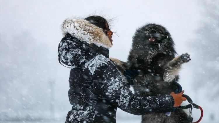 <p>Buna g&ouml;re, Washington DC'deki Ronald Reagan, Dulles ve BWI Thurgood Marshall havalimanları ile New York'taki 3 havalimanında 3 binden fazla u&ccedil;uş iptal edildi. En az 500 u&ccedil;uşta hava muhalefeti nedeniyle r&ouml;tar yaşandı.</p>

<p>&nbsp;</p>
