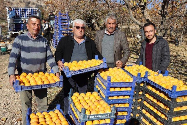 <p><strong><span style="color:#000000">En fazla üretimin Adana'da, en fazla artışın da Adıyaman'da olduğunu belirten Dr. Öğr. Üyesi İlhamı Tozlu, </span><span style="color:#0000CD">"Tabloda görüldüğü gibi bu iki şehir Türkiye üretiminin yüzde 35'ini gerçekleştiriyor"</span> <span style="color:#000000">dedi.</span></strong></p>
<p> </p>
