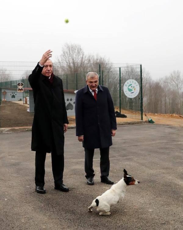 <p>Erdoğan gezisi sırasında barınağın maskotu olan Maylo adlı Jack Russell Terrier cinsi köpek ile top atarak oynadı.</p>
