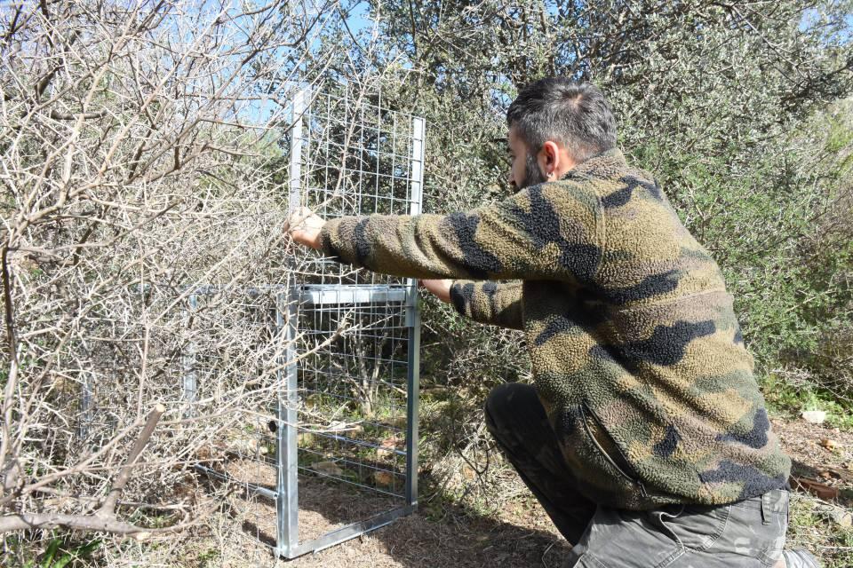 <p><strong>- "Dünyada da saz kedisiyle ilgili detaylı çalışmalar yok"</strong><br />
<br />
Bafa Gölü ve Büyük Menderes Havzası'nın etrafında geniş tarım alanları olmasına rağmen çok az sayıda sulak alanın kalmasından dolayı çalışmayı bu bölgede yoğunlaştırdığını dile getiren Mengüllüoğlu, şöyle konuştu:<br />
"Habitatlar arasında bağlantı kopukluğu var ve hayvanlar geçiş yaparken belirli yollardan geçerken ne yazık ki araçların altında kalıyorlar. </p>
