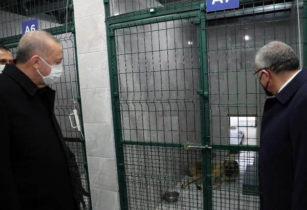 <p>Erdoğan, Beykoz Belediyesi tarafından yaptırılan sokak hayvanları bakım ve rehabilitasyon merkezi ile doğal yaşam alanı parkını ziyaret etti. </p>
