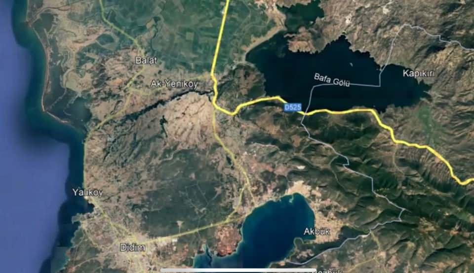 <p>Saz kedisinin, sulak alanların etrafındaki sazlıklar ve bitki örtüsü bozulduğundan yerleşecek geniş bir sazlık alan bulamadığını bildiren Mengüllüoğlu, "Makilikleri kullanarak yeni sulak alanlara ulaşmaya çalışıyor ancak dönüp dolaşıp yine göle geri dönüyor." ifadelerini kullandı.<br />
</p>