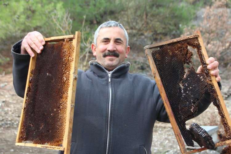 <p>Bilecik'te, etrafı elektrik telleriyle çevrili arı kovanlarına, cereyana çarpılmamak için yeri kazarak giren ayı 57 kovanı talan etti.</p>
