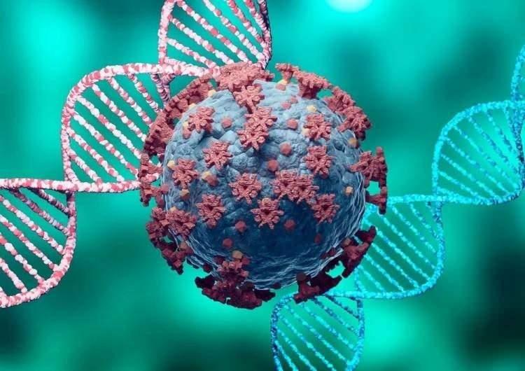 <p>"Ağır geçirilmez diye düşünüyoruz ancak aşısızların yine bir pikiyle karşılaşabiliriz çünkü Omicron aşısızlar ve aşısız ek hastalığı olan kişilerde tıpkı Delta varyantı kadar etkili ve o kadar ölümcül. Aşısızların pikini yaşayacağız ve uğramayacağı ev kalamayacağını düşünüyoruz. Omicron ile ilgili bilgiler henüz sınırlı. </p>
