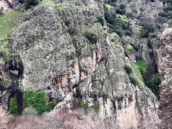 <p>Çevre ve doğa ile ilgili hem de hayvanları öldürme veya yaralama, sokağa atma, aç/susuz bırakma, kötü davranma, gücünü aşan yük yükleme, zararlı yiyecek içecek verme, hayvanların gürültüye neden olması, çevrenin kirletilmesi suretiyle hayvanın zarar görmesi, trafikte hayvana çarpıp yardım etmeme, işkence, eziyet, zarar verme, cinsel ilişkide bulunma, hayvanların cinsel içerikli yayınlarda kullanılması, bakımlarını ihmal etme, hayvanların dövüştürülmesi suretiyle kumar oynama/oynatma, tehlike arz eden hayvanları üretme, </p>