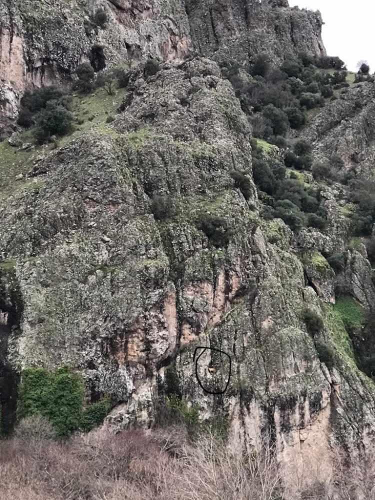 <p>Ekipler 4'üncü günün sonunda, keçinin mahsur kaldığı sarp kayalıklara ulaşarak, keçiyi sağlıklı bir şekilde kurtardı. Mahsur kalan keçi, sahibine teslim edildi.</p>